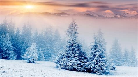 Картинки зима на рабочий стол 50 фото • Прикольные картинки и позитив