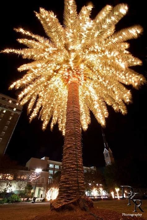 Its Hard To Find A Prettier Christmas Tree Than Decorated Palm Tree