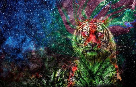 Space Tiger Wallpapers Wallpaper Cave