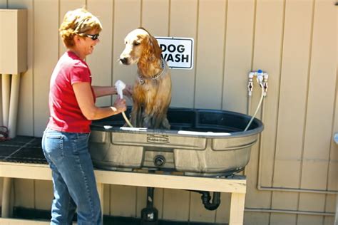 For your comfort working, it should be about the height of your wrists when your hands are at your sides. Give your pooch a bath in our dog wash. | Dog washing ...