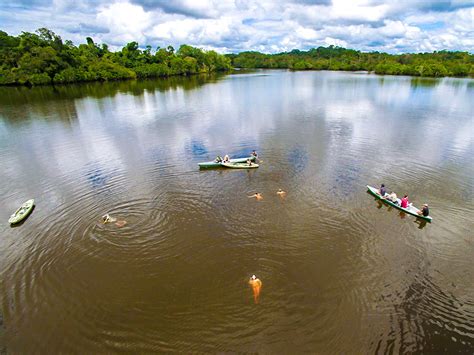 Amazon River Luxury Cruise Tour In Amazon Rainforest Ecuador