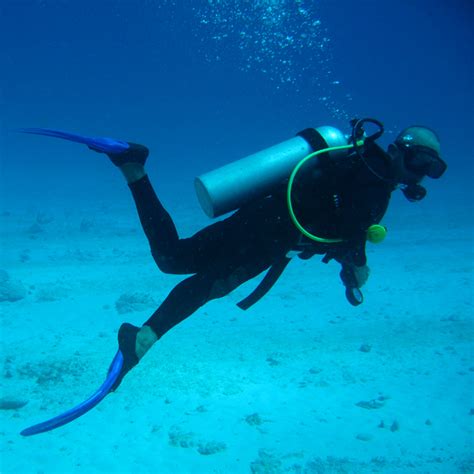 Scuba Diving Wikipedia