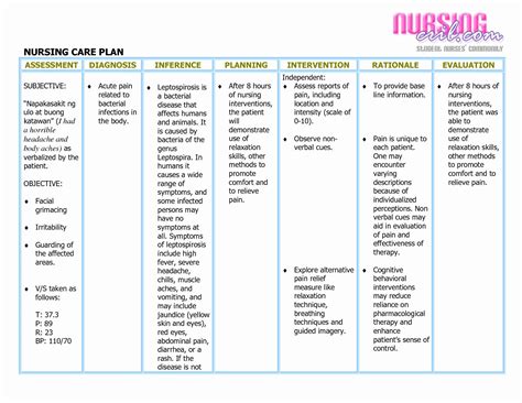 Nursing Care Plan Examples For Chest Pain Image To U