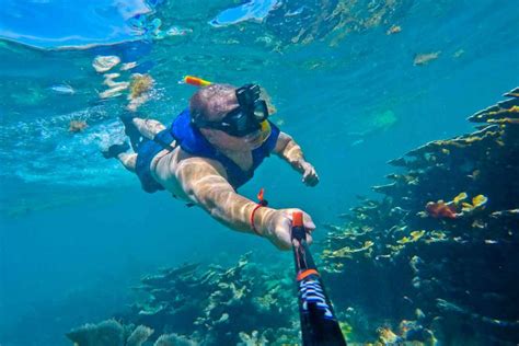 The Best Snorkeling Spots In The Florida Keys Desertdivers