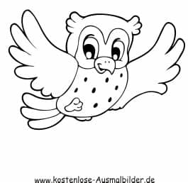 Hier finden sie kostenlose pdf kalender für 2017 zum herunterladen und ausdrucken. Ausmalbild Eule zum Ausdrucken