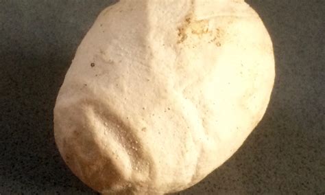 Das bedeutet, dass der hase sehr gut zu diesem großen und wichtigen christlichen fest passt. Wann kommt der Osterhase und welche Eier bringt er ...