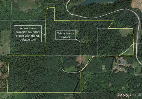 They are optimized for showing roads/navigation purposes and only buildings are relevant for this. Mapping your forest with Google Earth and a GPS phone app ...