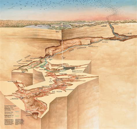 Maps Of Carlsbad Caverns