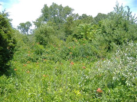 Please share your photos taken within the jamaica bay wildlife refuge here. The Reporter Blogs: Day Trippin': Jamaica Bay Wildlife Refuge