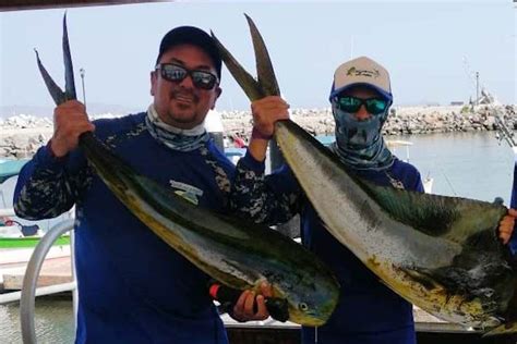 Con Loreto Reinician Los Torneos De Pesca Deportiva En Bcs El Mundo