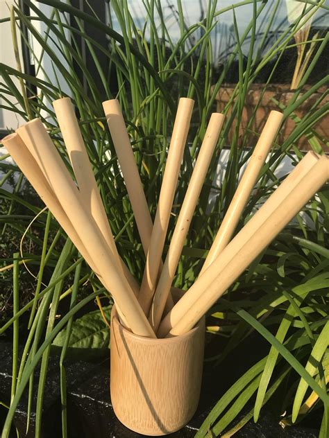 Bamboo Straw Set Of 10 Straws 100 Bamboo Reusable Straw Etsy