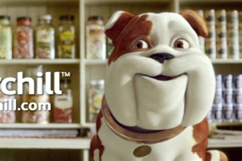 Find out if churchill home insurance has a policy that can give you peace of mind in your home. Churchill dog becomes shopkeeper in latest campaign