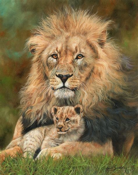 Lion And Cub Greeting Card For Sale By David Stribbling