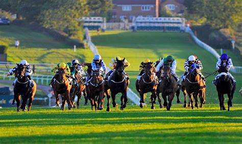 Horse Racing Preview Newmarket 11th August 2017