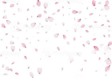 Pink Sakura Petals Png