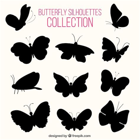 Diverses Silhouettes De Papillons Vecteur Gratuite