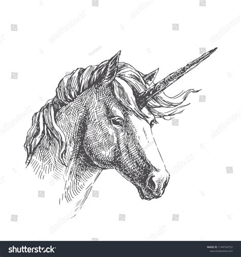 Vector Vintage Illustration Unicorn Engraving Style Stock Vector