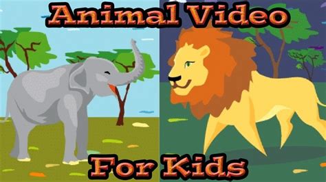 Animal Video For Kids Youtube