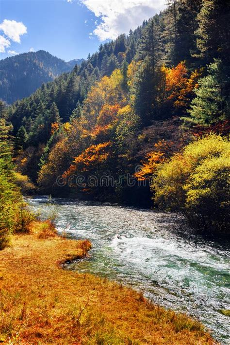 Creek Jiuzhaigou National Park Photos Free And Royalty Free Stock