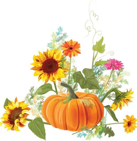 Best Pumpkin Blossom Illustrations Royalty Free Vector