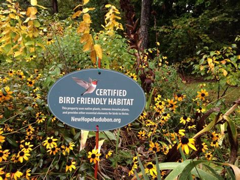 Creating A Bird Friendly Habitat Presented By Thomas Driscoll At Wild