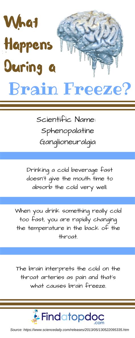 What Happens During A Brain Freeze Infographic