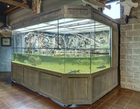 Exhibit Riverbank Water Snakes Aquarium Cool Fish Tanks Amazing