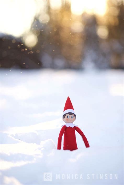 Snow Elfie 2017 Elf On The Shelf Elf On The Shelf Elf Holiday Decor