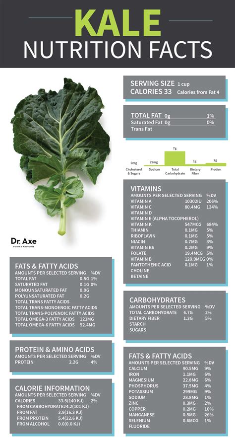 Kale Health Benefits Nutrition Facts And Recipes Dr Axe Kale