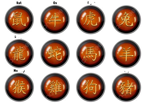 Chinese Zodiac Buttons Symbol Year Of The Dragon Lunar New Year