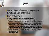 Nutrition Brain Function And Cognitive Performance Photos