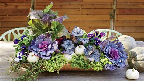 The company provides a broad range of merchandise. Fall Container Gardening Ideas - Southern Living