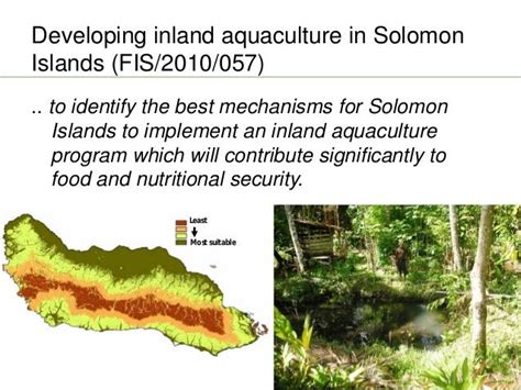 Developing Inland Aquaculture In Solomon Islands