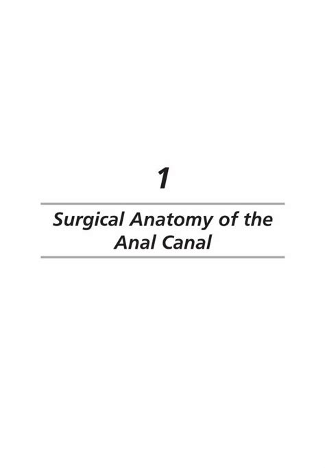 Pdf Surgical Anatomy Of The Anal Canal Dokumen Tips