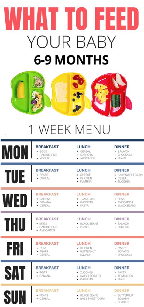 Babies do not need solid foods until they are about 6 months old. 6-9 months baby feeding schedule and sample menu ...