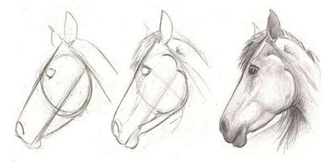639x1024 easy horse drawing how to draw a simple horse step step farm. how to draw a horse head in 3 easy step - Learn To Draw ...
