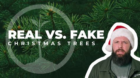 Real Vs Fake Christmas Trees One Tree Planted Youtube