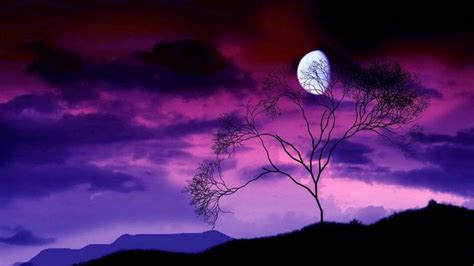 Purple Sunset Wallpaper Purple Sky Beautiful Moon