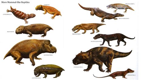 How Common Were Mammals In The Cretaceous Questions And Answers The