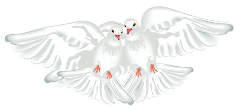 Transparent Wedding Doves Png Clip Art Library