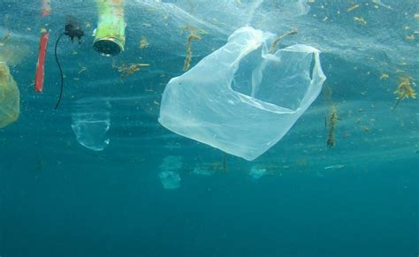 Plastic bottles are convenient for grabbing water or soft drinks on the go. Will Banning Plastic Bags Actually Save the Planet? | Displayr