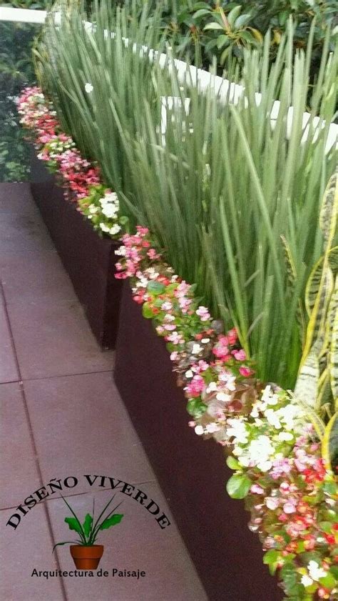 ¡crea la mejor decoración con plantas de interior en casa! Plantas Para Interior Y Exterior. - $ 1,200.00 en Mercado ...