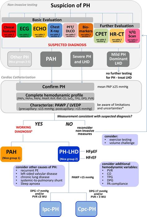 Portal Hypertension Diagnosis