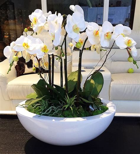 Large White Orchid Arrangement Realistic Orchids Set In By Flaural Orquídeas Artificiales
