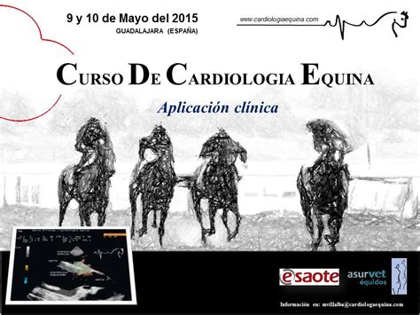 Curso De Cardiología Equina En Guadalajara Dra María Villalba