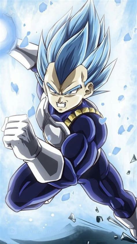 89 dragon ball z vegeta wallpapers images in full hd, 2k and 4k sizes. Dragon Ball Z Vegeta Wallpapers (96 Wallpapers) - HD ...