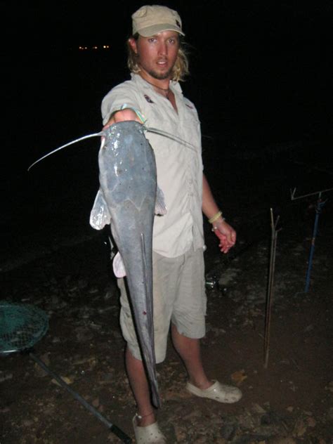 Throw these to the deeper part of the pond, where bass take cover in the afternoon. Vaal Dam Carp Fishing - The Carp Nursery School ...