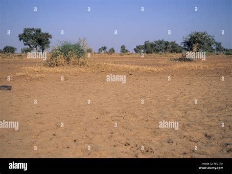 Niger West Africa Dry Season In The Sahel Compare To Rainy Season In