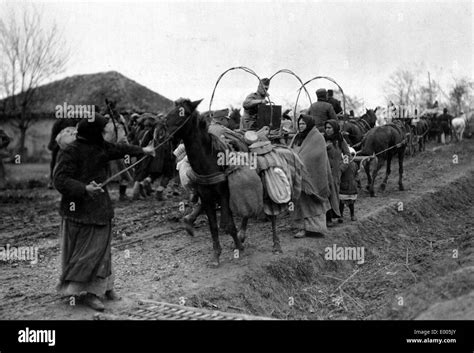 Serbian Refugees Black And White Stock Photos And Images Alamy