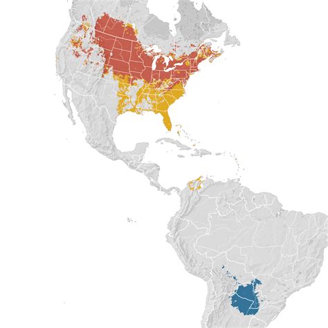 Bobolink Range Map Ebird Status And Trends